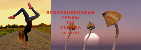 мяу мяу кристалл Балахна