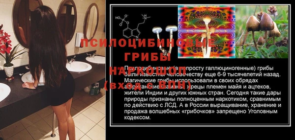 молекула духа Сафоново